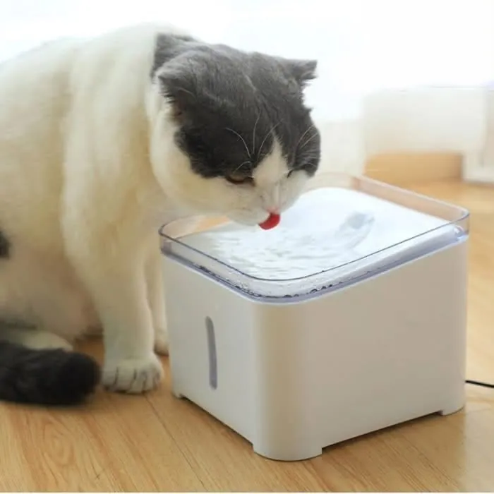 Vannfontene til katt og hund – kommer til Megasalg Moss