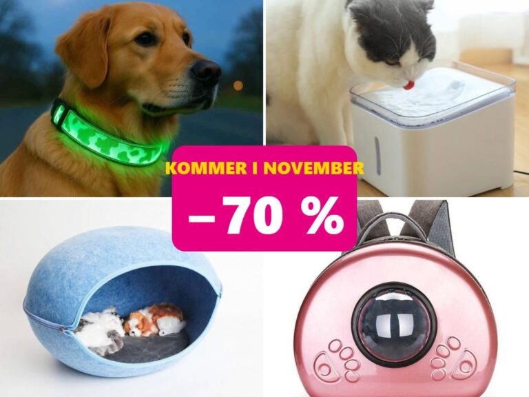 Forside 28 Hund og katt – vareparti med 70 % rabatt kommer i november til Megasalg Moss