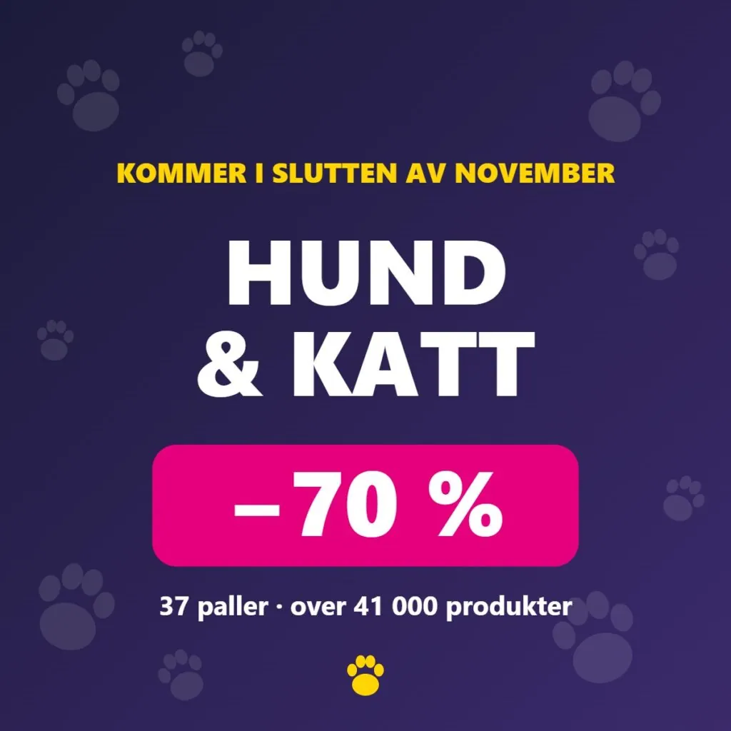 Hund & katt
