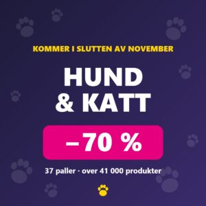 Hund & katt